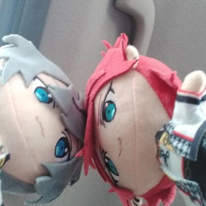 rinniki nuis butting their fat heads together they are cute